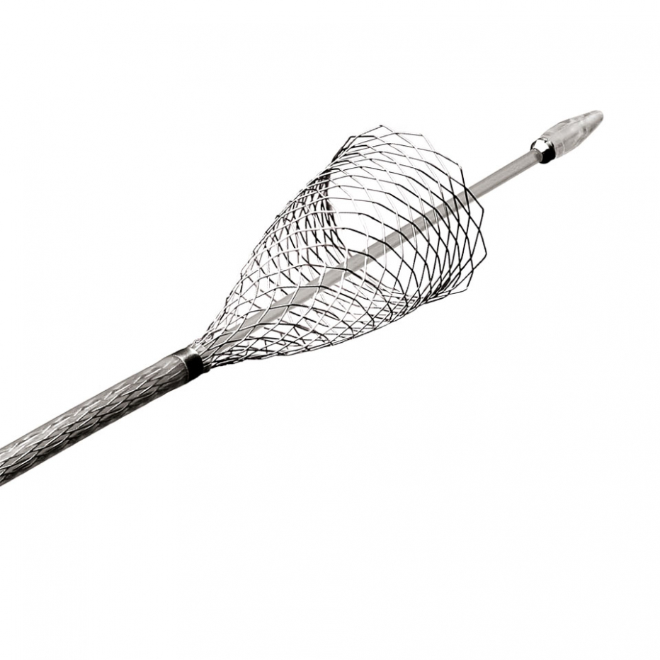 Carotid Wallstent