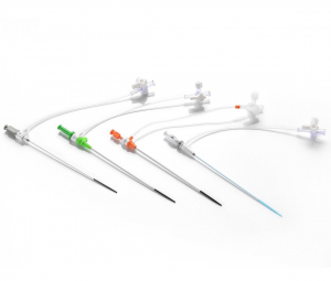 Introducer Sets