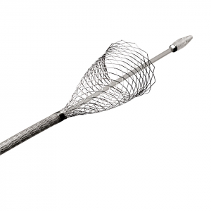 Carotid Wallstent